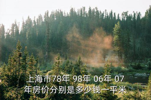 上海市78年 98年 06年 07年房價分別是多少錢一平米