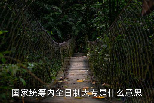 國家統籌內全日制大專是什么意思