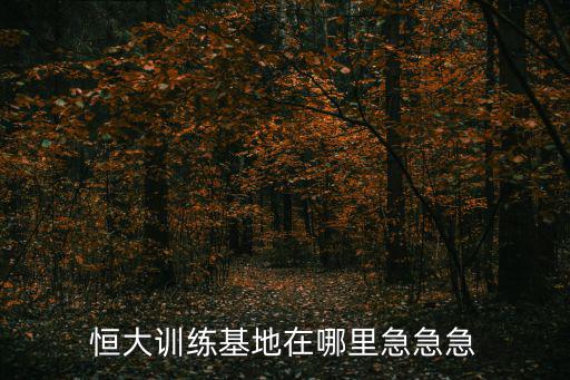 廣州恒大新足球場在哪里，廣州恒大俱樂部主場在哪在哪里可以買到門票