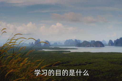  學(xué)習(xí)的目的是什么