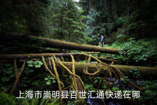 上海市崇明縣百世匯通快遞在哪