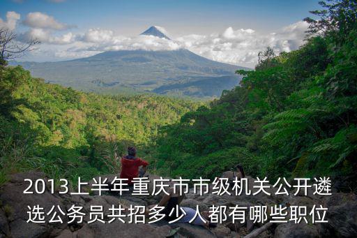 2013上半年重慶市市級機關(guān)公開遴選公務(wù)員共招多少人都有哪些職位