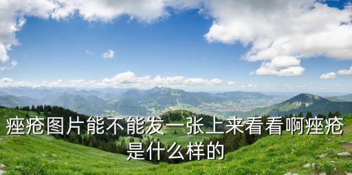 痤瘡圖片能不能發一張上來看看啊痤瘡是什么樣的