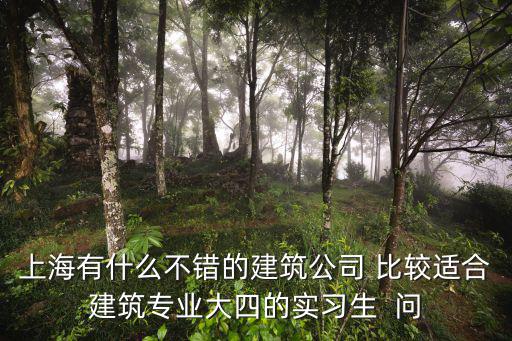 上海有什么不錯(cuò)的建筑公司 比較適合建筑專業(yè)大四的實(shí)習(xí)生  問(wèn)