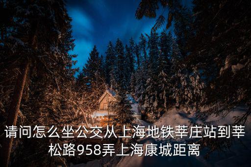 上海市閔行區莘松路958弄上海康城，莘松路958弄上海康城大浪灣道12號怎么去