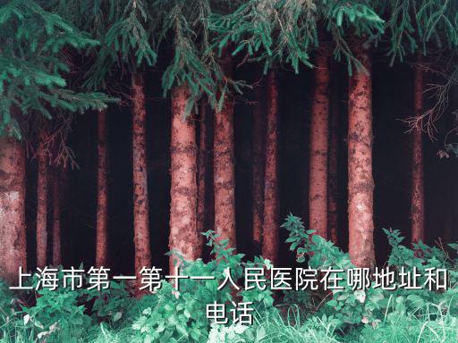 上海市大眾醫(yī)院地址電話(huà)是多少錢(qián)，浦東新區(qū)人民醫(yī)院預(yù)約掛號(hào)電話(huà)是多少