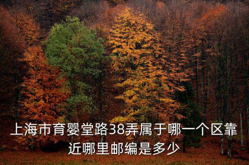上海市育嬰堂路38弄屬于哪一個區靠近哪里郵編是多少