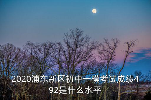 2020浦東新區初中一模考試成績492是什么水平