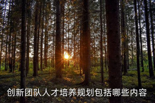 人才培養計劃，公司的人才培養計劃大家幫忙起個好聽的名字
