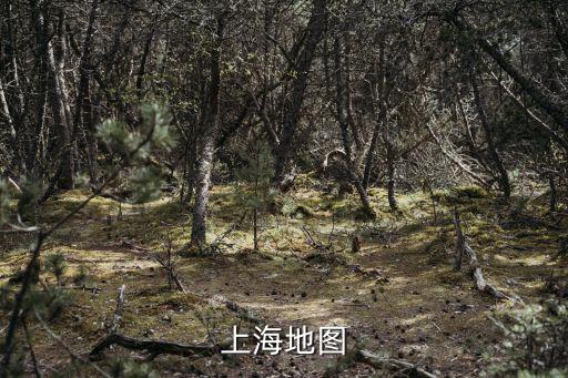 上海每個(gè)區(qū)的地圖，上海電子地圖