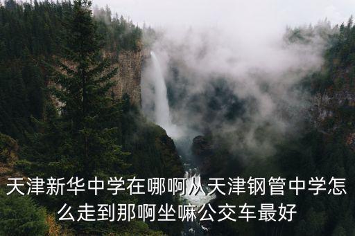 天津新華中學(xué)在哪啊從天津鋼管中學(xué)怎么走到那啊坐嘛公交車最好