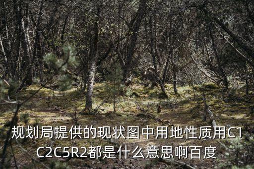 上海市土地C5類的性質(zhì)，規(guī)劃局提供的現(xiàn)狀圖中用地性質(zhì)用C1C2C5R2都是什么意思啊百度