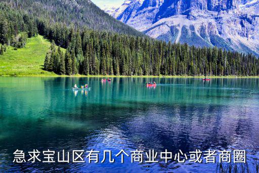 急求寶山區(qū)有幾個商業(yè)中心或者商圈