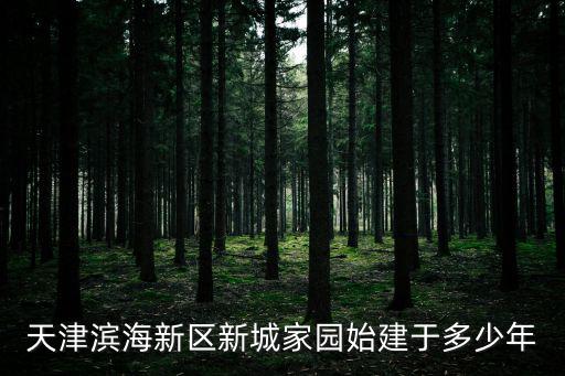 天津?yàn)I海新區(qū)新城家園始建于多少年