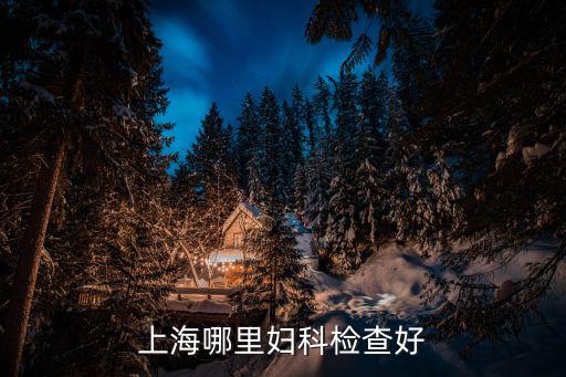 上海哪里婦科檢查好