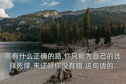 哪有什么正確的路,你只能為自己的選擇死撐,來(lái)證明你沒有錯(cuò),這句話的...