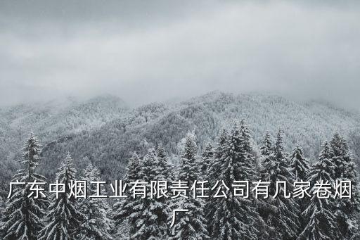 廣東中煙工業(yè)有限責(zé)任公司有幾家卷煙廠