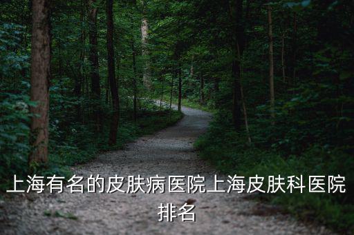 上海有名的皮膚病醫院上海皮膚科醫院排名