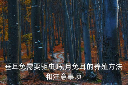 垂耳兔需要驅蟲嗎,月兔耳的養殖方法和注意事項