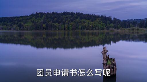 團員申請書怎么寫呢