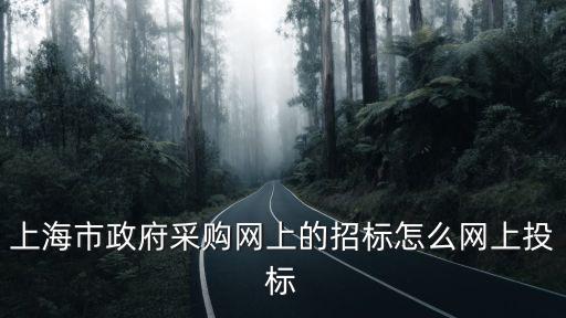 上海市政府采購網上的招標怎么網上投標