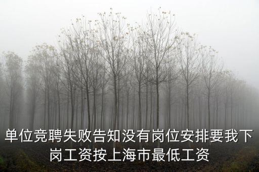 上海市機(jī)構(gòu)方案改革，上海改革開放幾年了