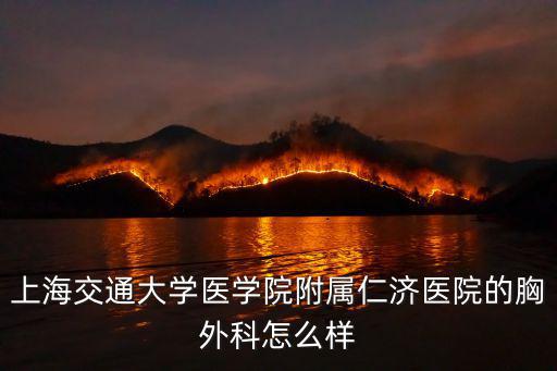 上海交通大學醫(yī)學院附屬仁濟醫(yī)院的胸外科怎么樣