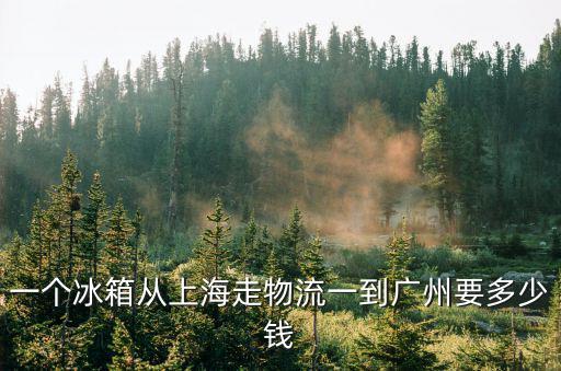 一個(gè)冰箱從上海走物流一到廣州要多少錢