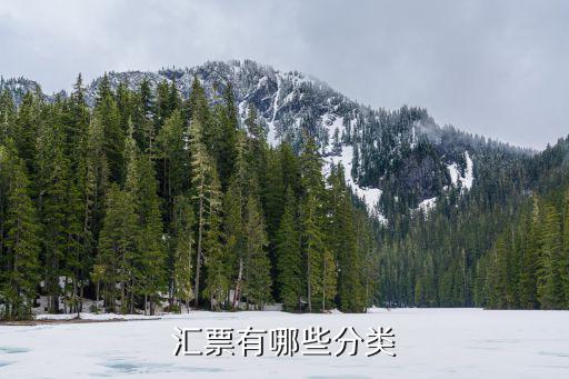 匯票有哪些分類