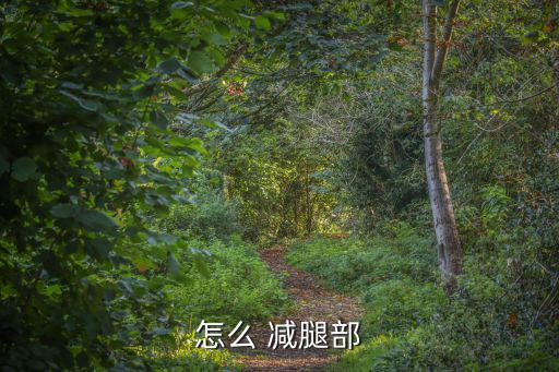 減腿,減脂是全身性而非局部減肥產(chǎn)品要經(jīng)過驗證
