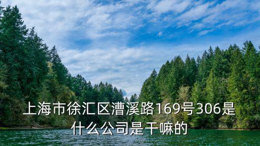 上海市徐匯區漕溪路169號306是什么公司是干嘛的