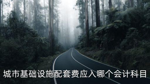 城市基礎(chǔ)設(shè)施配套費應(yīng)入哪個會計科目
