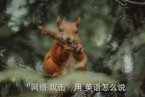 “網絡 攻擊”用 英語怎么說