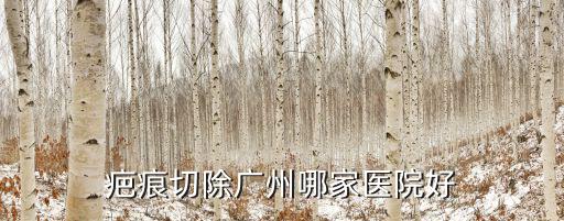 疤痕切除廣州哪家醫院好