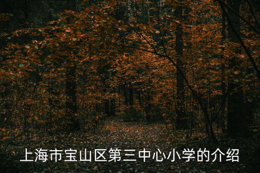 上海市寶山區第三中心小學的介紹