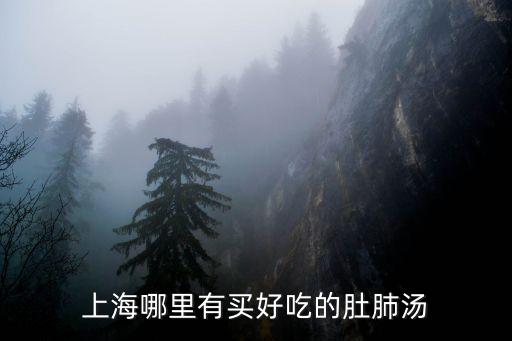 上海哪里有買好吃的肚肺湯