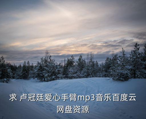 求 盧冠廷愛心手臂mp3音樂百度云網盤資源