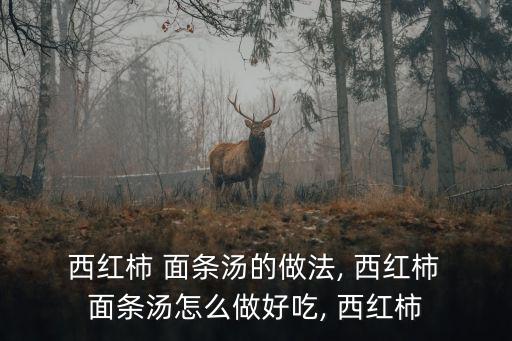  西紅柿 面條湯的做法, 西紅柿 面條湯怎么做好吃, 西紅柿