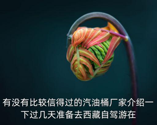 有沒有比較信得過的汽油桶廠家介紹一下過幾天準備去西藏自駕游在