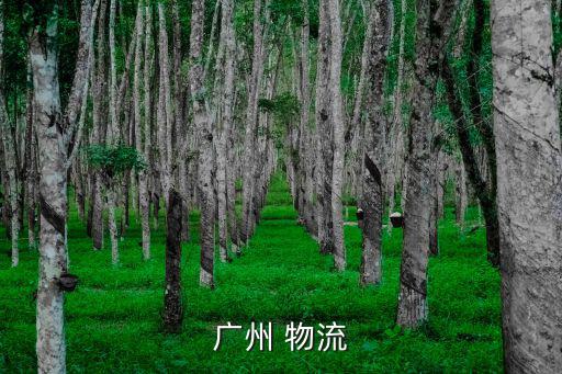 廣州 物流