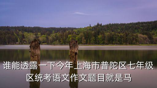 誰能透露一下今年上海市普陀區七年級區統考語文作文題目就是馬