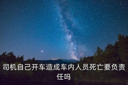 自己開車，自己開車造成交通事故