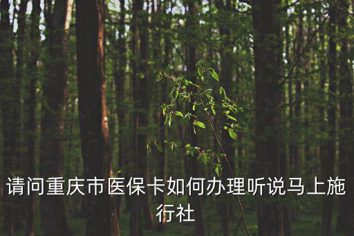 重慶市外省兒童如何辦理醫保，請問重慶少兒醫保怎么辦理在那里辦請知曉的人回答下