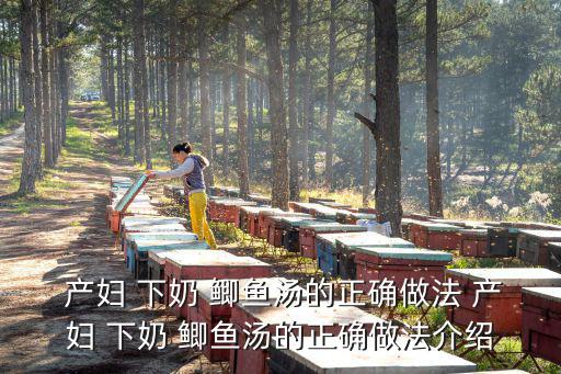 產婦 下奶 鯽魚湯的正確做法 產婦 下奶 鯽魚湯的正確做法介紹