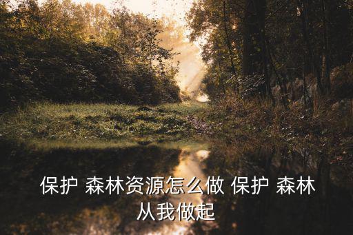  保護(hù) 森林資源怎么做 保護(hù) 森林從我做起