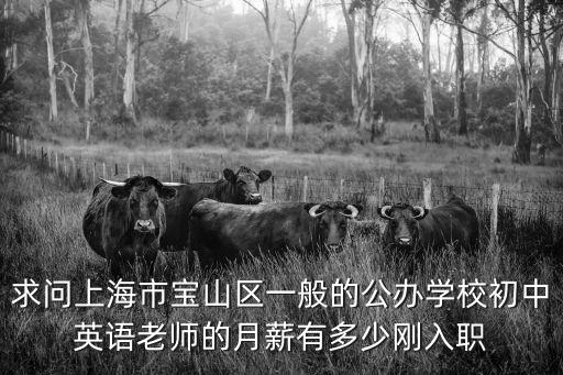 求問上海市寶山區(qū)一般的公辦學(xué)校初中英語老師的月薪有多少剛?cè)肼? class=