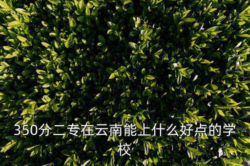 350分能上什么大學，350分二專在云南能上什么好點的學校