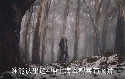 誰(shuí)能認(rèn)出這4種上海本幫菜有圖片