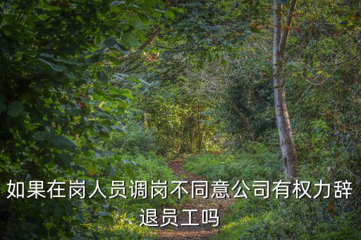 如果在崗人員調(diào)崗不同意公司有權(quán)力辭退員工嗎
