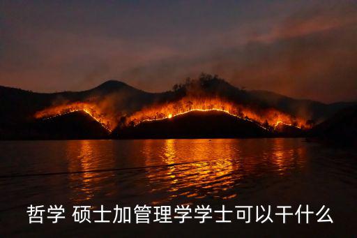  哲學 碩士加管理學學士可以干什么